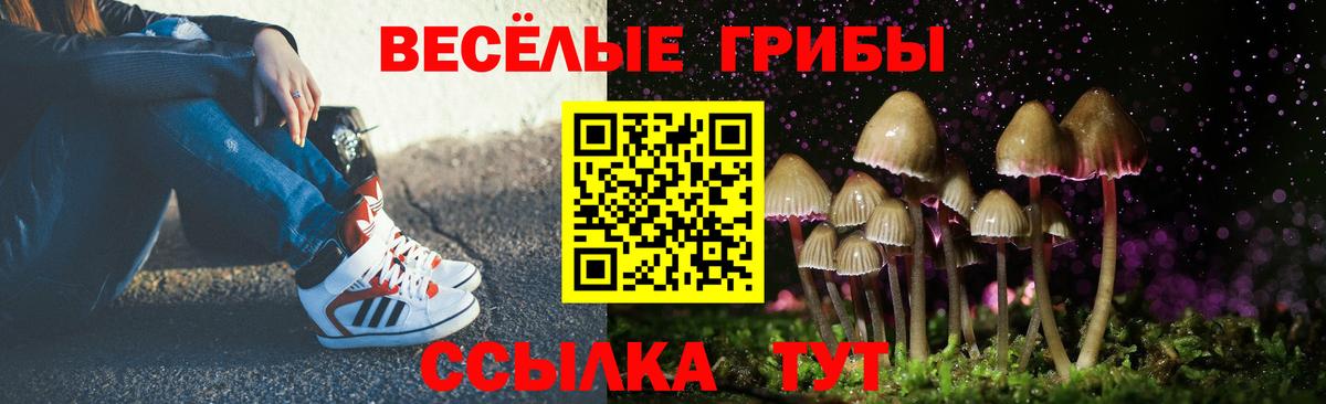 Партизанск  Галлюциногенные грибы GOLDEN TEACHER  даркнет сайт  Вход с VPN  Галлюциногенные грибы MAGIC MUSHROOMS 